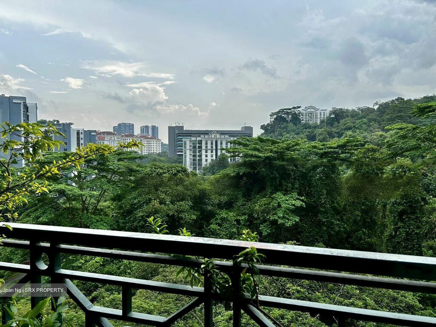 Meralodge (D23), Condominium #561747411